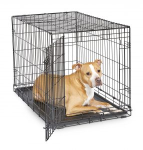 New World Dog Crate, Includes Leak-Proof Pan