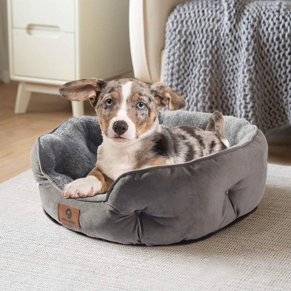 small dog beds