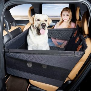 dog travel equipment