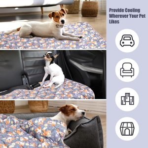 Dog Cooling Items