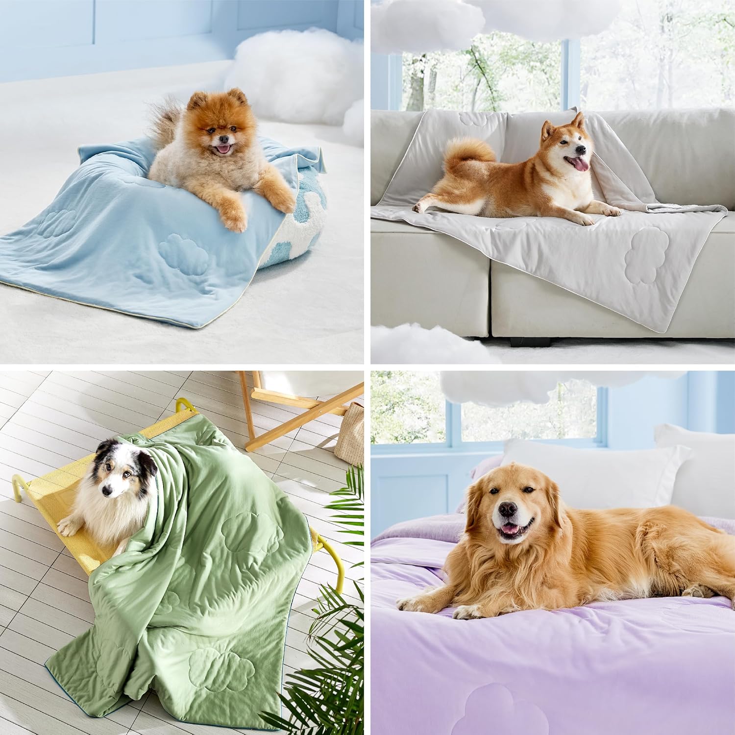 Keeping Your Dog Cool During The Summer Months